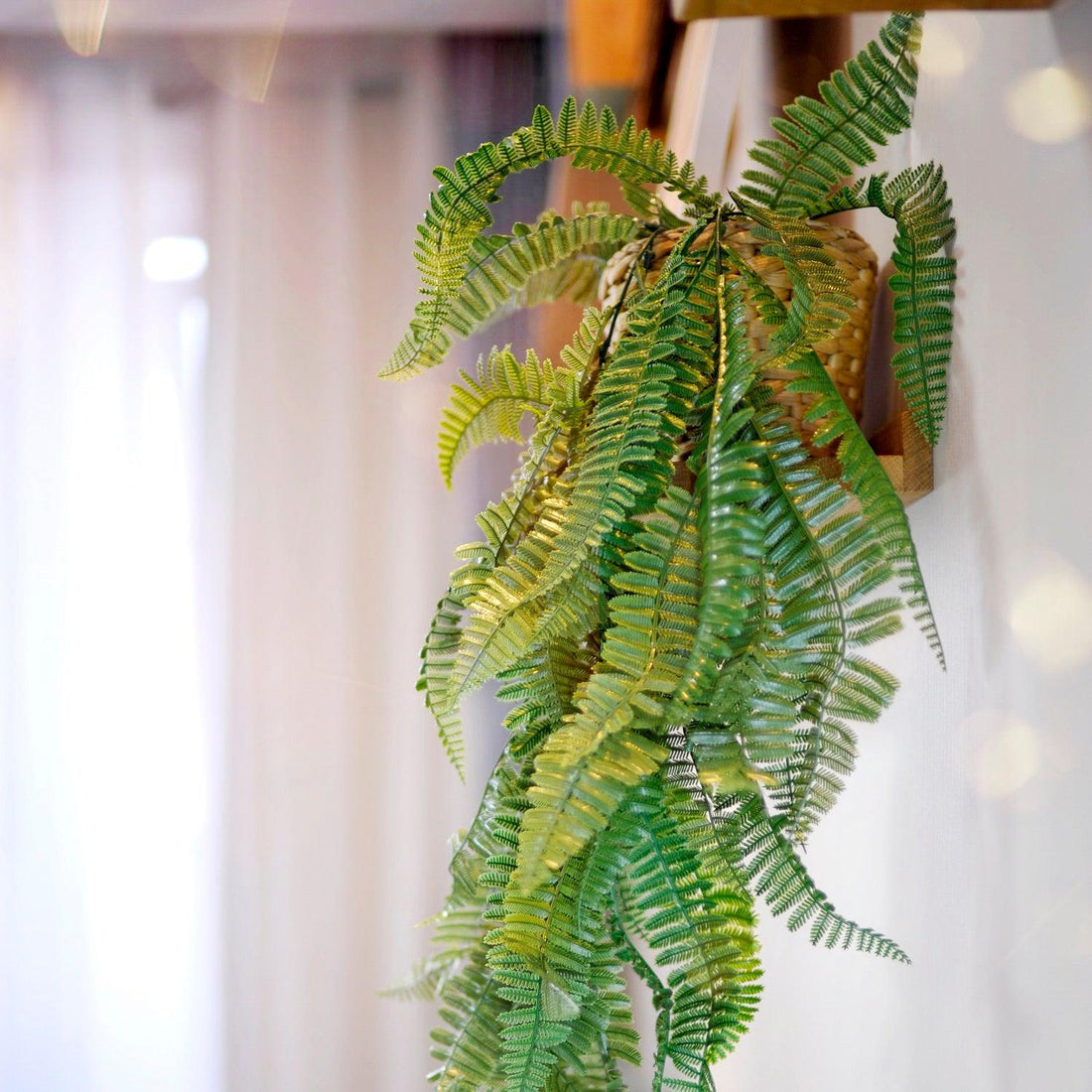 Enredadera Perenne-Decorativos-HBFA12-Jardin Vertical-Play Plaza Uruguay