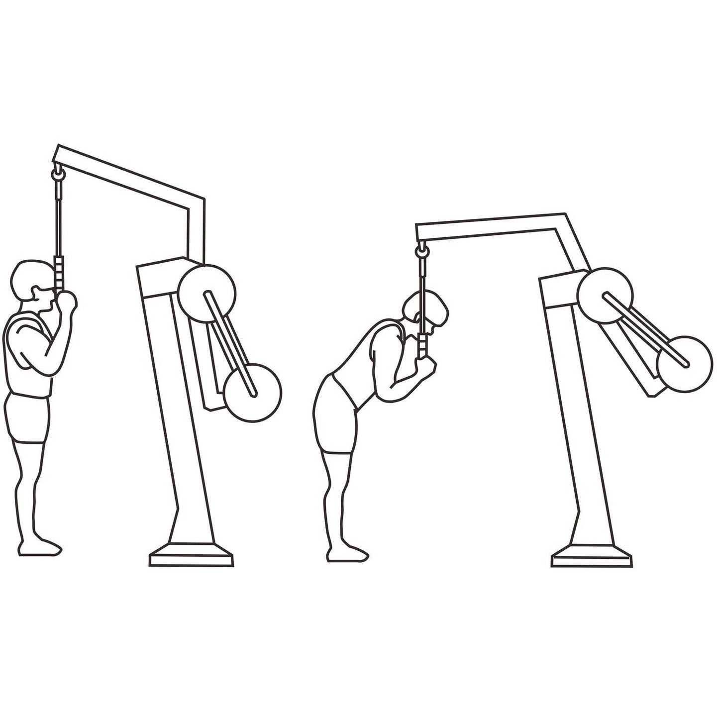 Dorsal - playplaza.uy