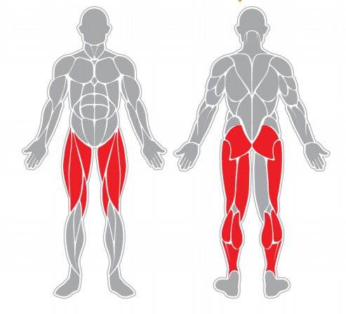 Pantorrilla - playplaza.uy