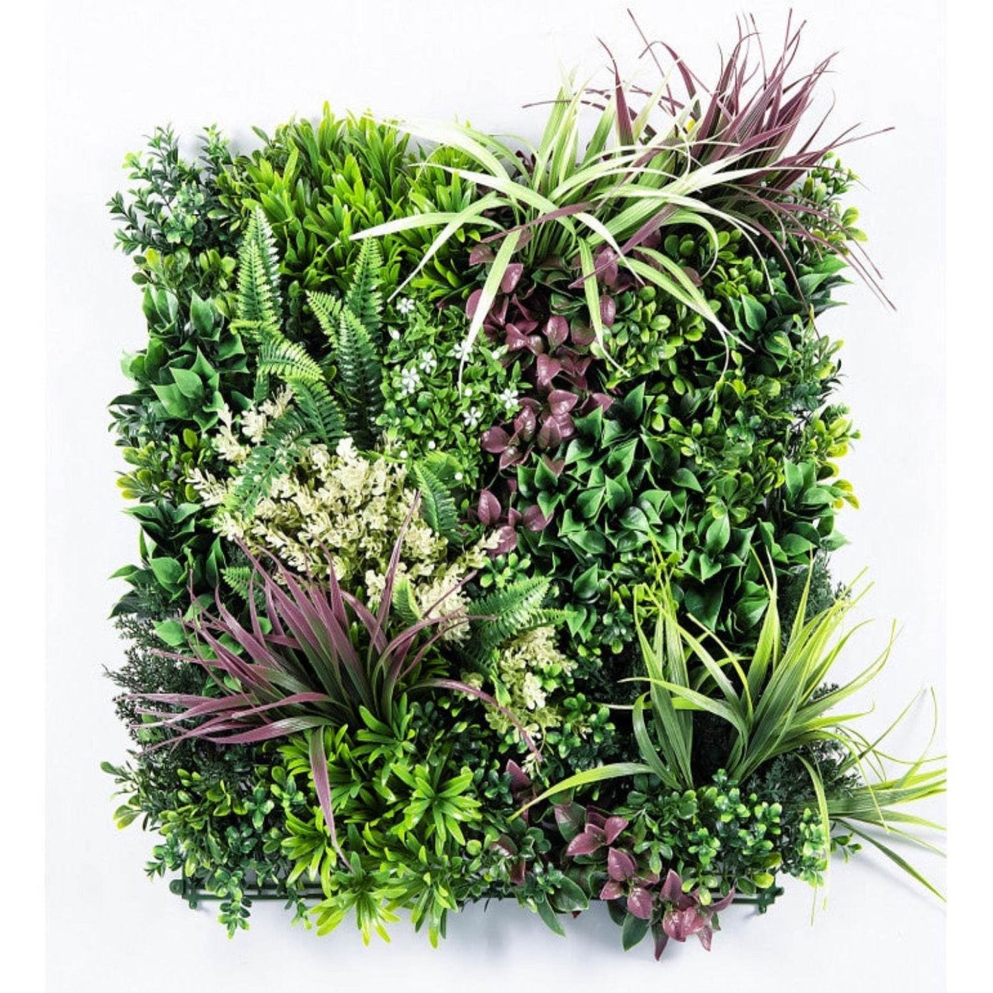 Jardin Vertical Calfulco - playplaza.uy