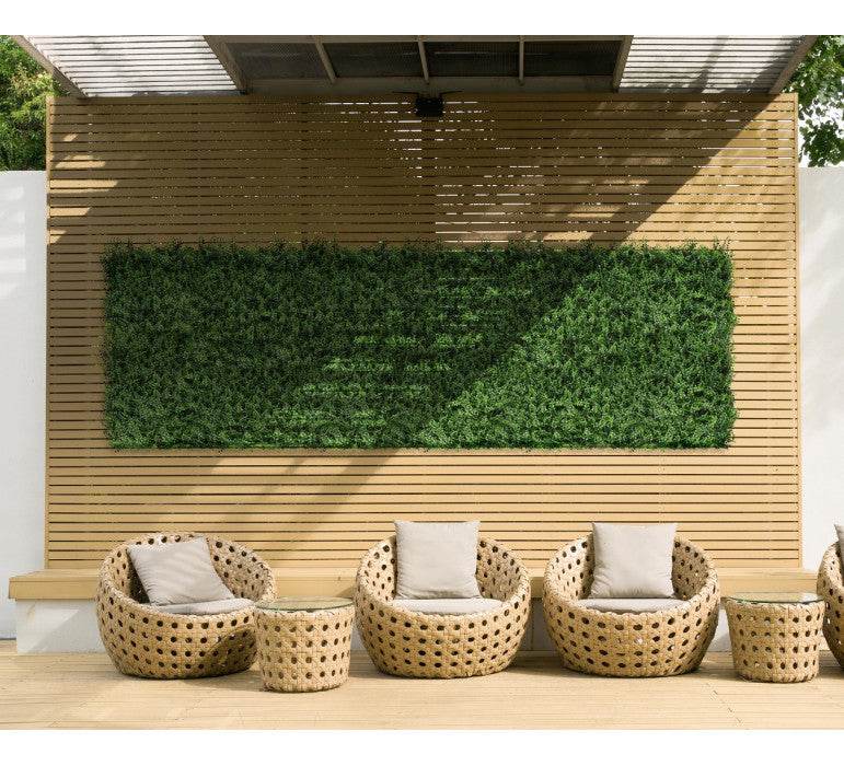 Jardin Vertical Helecho - playplaza.uy